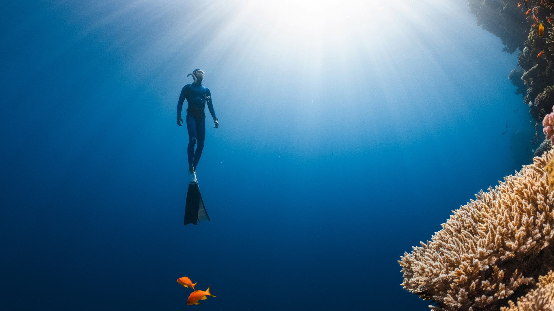 TM-E-Best5-BlogImage-Image-ScubaDiving