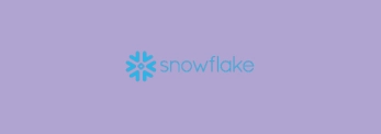 snowflake - purple